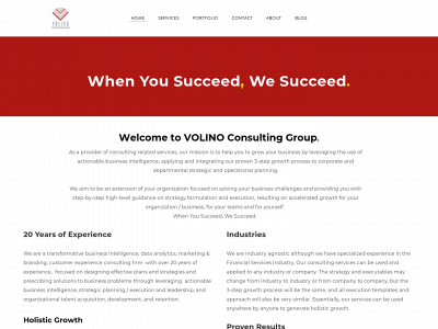 www.volinoconsultinggroup.com snapshot