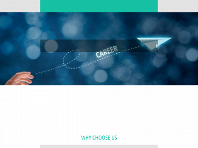thewrightcareer.co.uk snapshot