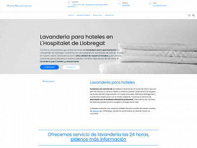 www.lavanderiaindustrialbarcelona.com snapshot