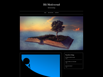 blimotiverad.se snapshot