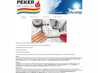 peker-heizung.de snapshot