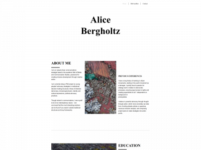 alicebergholtz.com snapshot