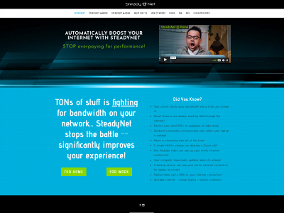 www.steadynet.co snapshot