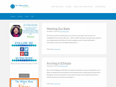 themittenmom.com snapshot