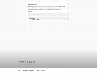 youre-eco.com snapshot