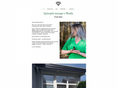 ninetmynne.dk snapshot