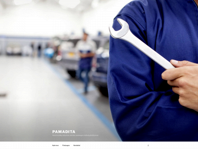 pamadita.lt snapshot