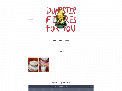 www.dumpsterfiresforyou.com snapshot