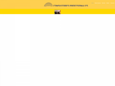 consultoresprofesionales.com.co snapshot