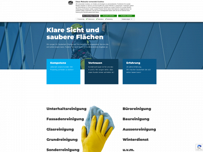 ringe-gebaeudereinigung.de snapshot