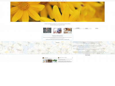 nutritionandwellnessllc.com snapshot