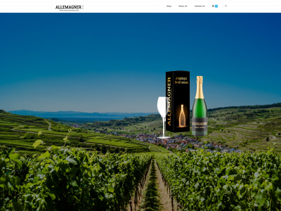 allemagner.com snapshot