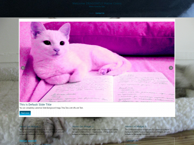 dragonflymainecoons.com snapshot