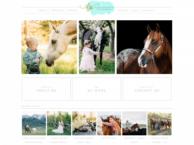 laurenandersonphoto.com snapshot