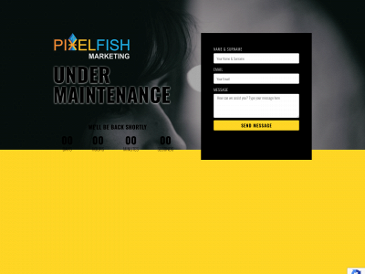 pixelfishmarketing.co.za snapshot