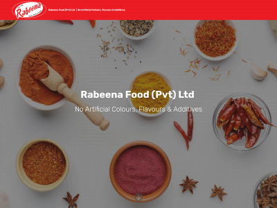 rabeena.com snapshot