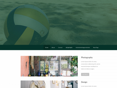 testmohsen.weebly.com snapshot