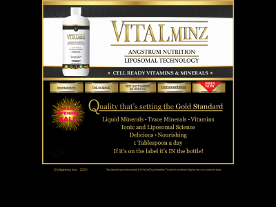 vitalminz.com snapshot