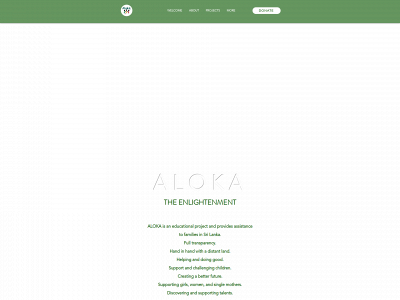 alokainfo.com snapshot