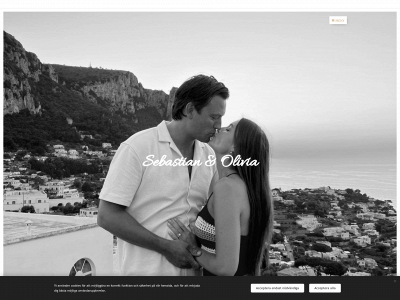 sebastianolivia.se snapshot
