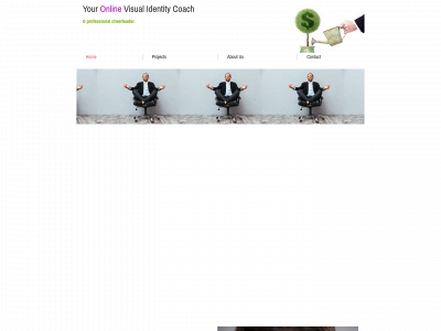 visualidentitycoach.com snapshot