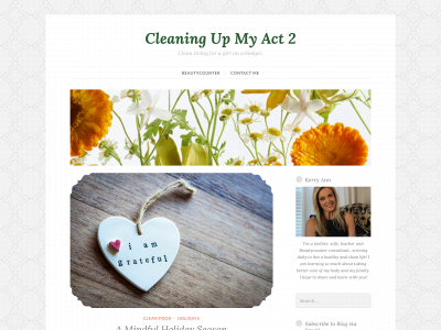 cleaningupmyact2.com snapshot