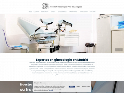 centroginecologico.net snapshot