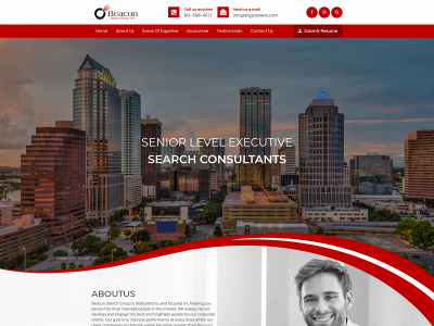 bsgcareers.com snapshot