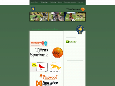 tjornsbk.se snapshot