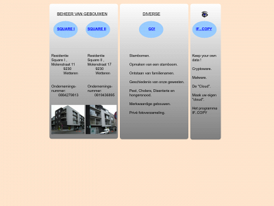 syndicus2010.be snapshot