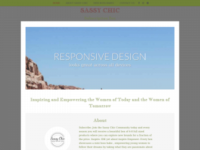 sassychicsubscription.com snapshot