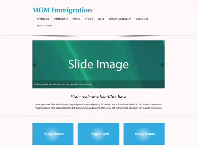 mgmimmigration.site snapshot