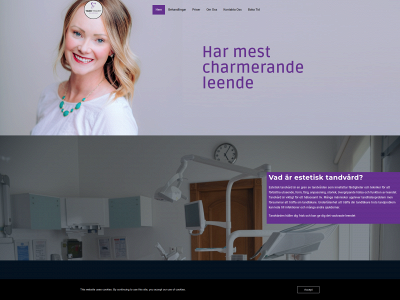 tandteamethalmstad.se snapshot