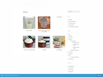 hiddenblessingsathome.com snapshot
