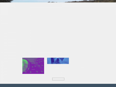 methling.dk snapshot