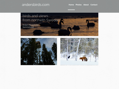 andersbirds.com snapshot