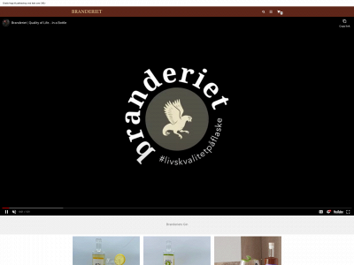branderiet.dk snapshot
