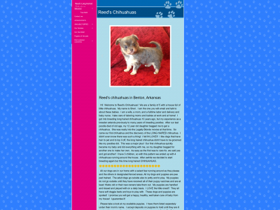reedschihuahuas.com snapshot