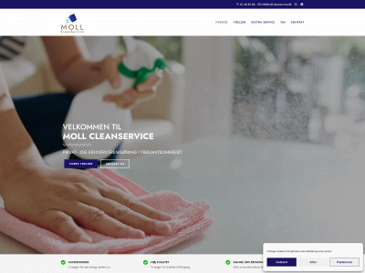 moll-cleanservice.dk snapshot