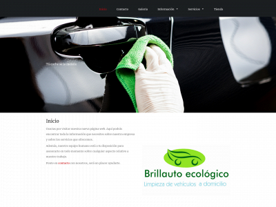 brillauto.net snapshot