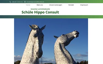 schuelehippoconsult.com snapshot