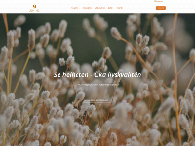 luningnaringsklinik.se snapshot