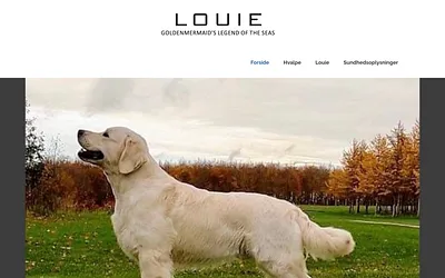 louies.dk snapshot