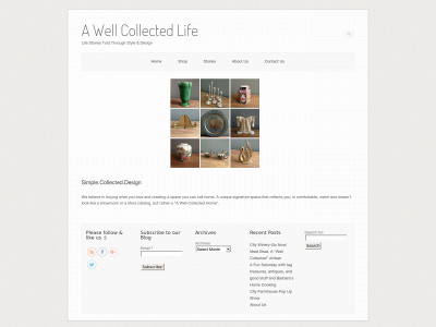 wellcollectedlife.com snapshot
