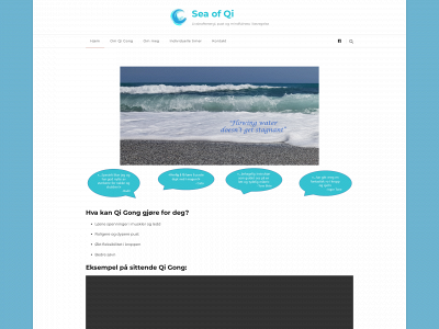 seaofqi.no snapshot