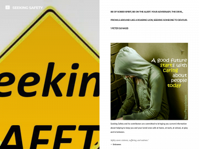 seekingsafety.net snapshot