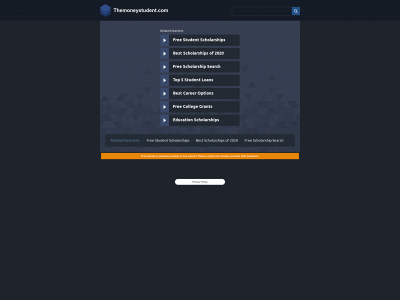 themoneystudent.com snapshot