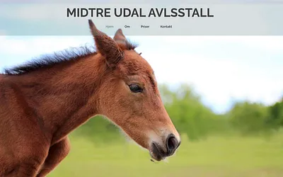 midtreudalavlsstall.no snapshot