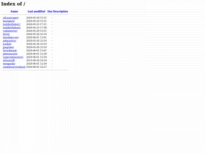 boostyourbustreviews.com snapshot