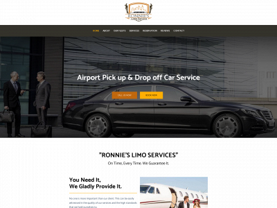 mydallaslimos.com snapshot